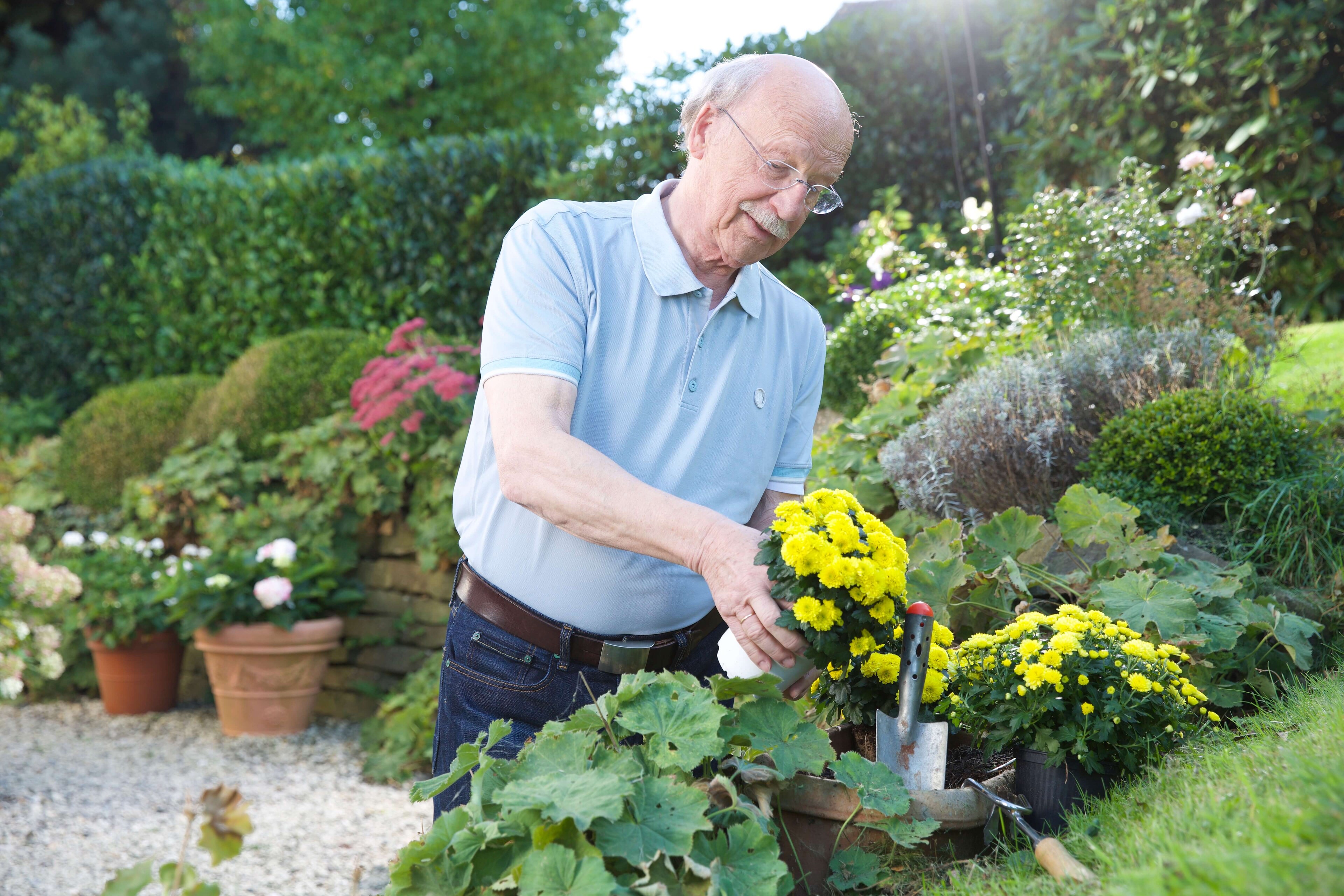 Title Mann im Garten